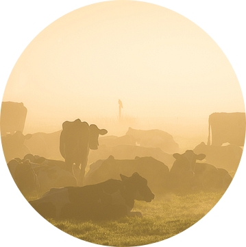 Koeien in de mist van Roelof Nijholt