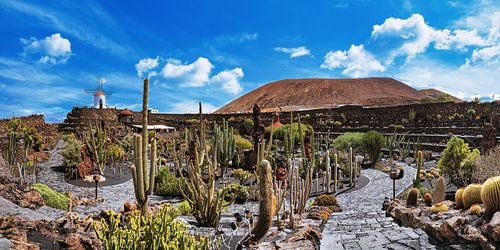 De cactustuin, Jardín de Cactus in Guatiza op Lanzarote