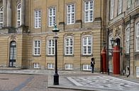 Palast, Kopenhagen von Greetje Dijkstra Miniaturansicht