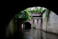 Binnendieze, 's-Hertogenbosch