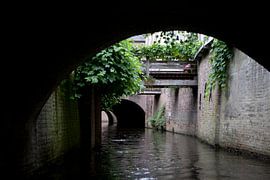 In diesen ist 's-Hertogenbosch.