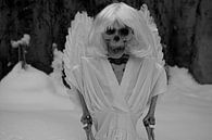 Laatste skelet van een engel in witte sneeuw van Babetts Bildergalerie thumbnail