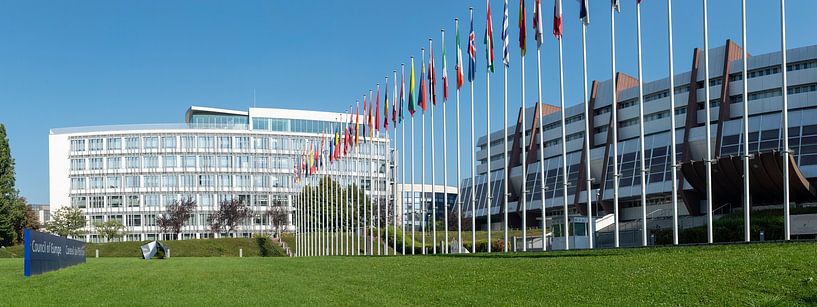 Council of Europe, van Richard Wareham