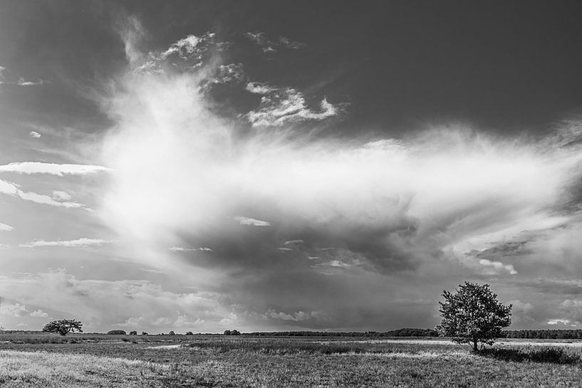 Hollands landschap van Peter van Wieringen