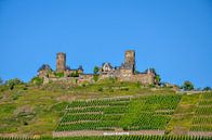 De met druiven beplante burcht Thurant in Hunsrück op de burchtheuvel Alken onder een blauwe hemel van LuCreator thumbnail