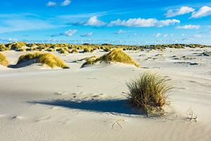 Landschaft mit Dünen auf der Insel Amrum