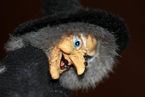 Een portret van een heks