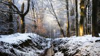 Winterwunderland in der Veluwe von Sara in t Veld Fotografie Miniaturansicht
