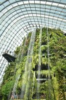 Gardens By the Bay 2