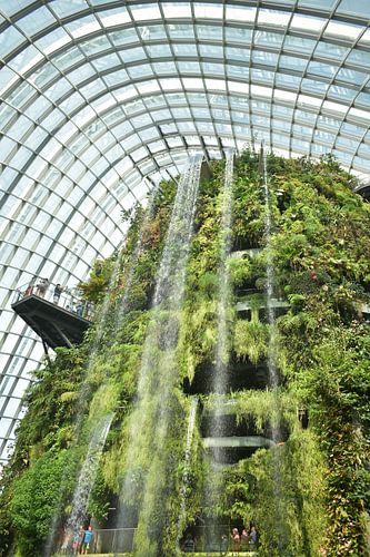 Gardens By the Bay 2