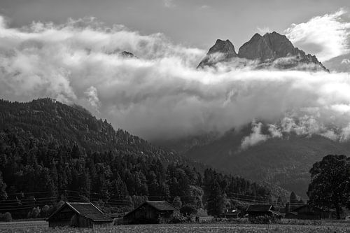 Weiden, bossen en de Alpen
