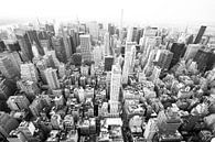 New York skyline van Celina Dorrestein thumbnail