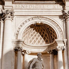 Detail of the magnificent Trevi fountain by Isis Sturtewagen