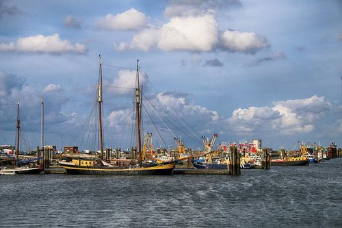 Vissersboten in de haven van Lauwersmeer.