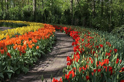 tulpen paadje