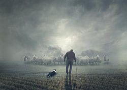 Der Schafhirte mit seinen Schafen