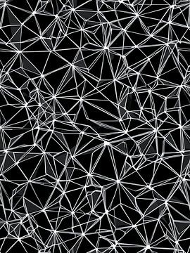 abstrakte polygonale Linie von Giandra Safaraz