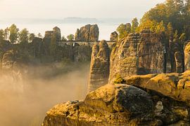 Basteibrücke von Sylvio Dittrich