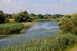 Magdeburg Cracau von t.ART
