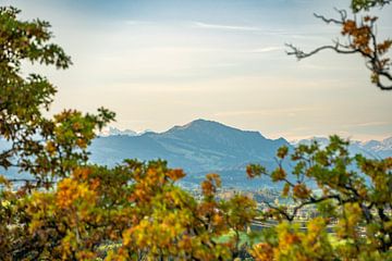 Uitzicht over de Allgäu naar de Allgäuer Alpen en het Grüntengebergte