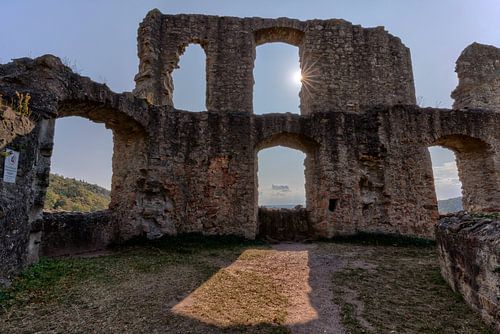 Zonnester bij Falkenstein