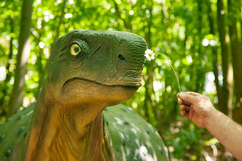 Dino sent une fleur par PHOTOGENIQUE