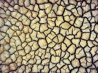 Gebarsten aarde in Camargue