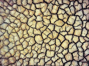 Gebarsten aarde in Camargue van Sergio Pazzano