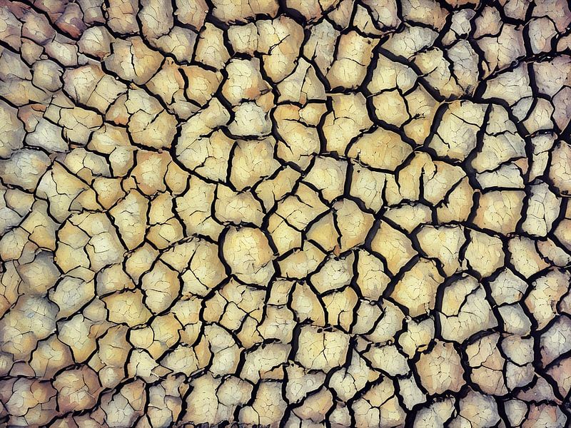 Rissige Erde Textur in der Camargue von Sergio Pazzano