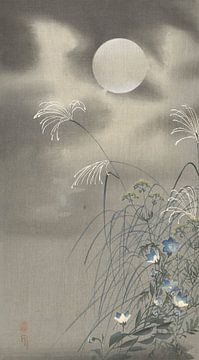 Grasses and flowers at full moon, Ohara Koson