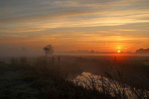 Zonsopkomst op een mistige ochtend in twente.