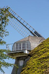Windmühle in Ahrenshoop vor reetgedecktem Haus