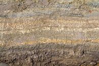 Sediment Bodemstructuur van Achim Prill thumbnail