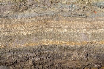 Sediment Bodemstructuur