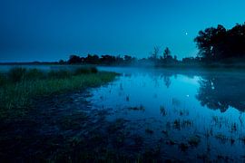 Nebliger Morgen von Jouke Wijnstra Fotografie