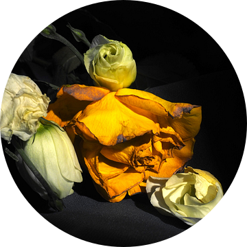 Stilleven van gele roos en witte bloemen van Moniek Op den Camp