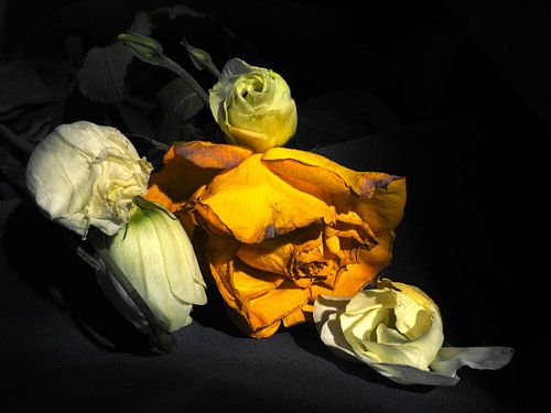 Nature morte de rose jaune et de fleurs blanches
