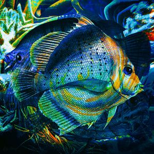 Drei abstrakte Fische übrig