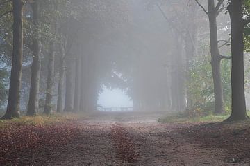 Kwintelooyen in de mist van Bert van Wijk