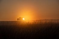 Sunrise Terlet by Bernadette Alkemade-de Groot thumbnail