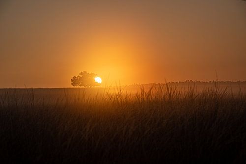 Terlet Sunrise sur Bernadette Alkemade-de Groot