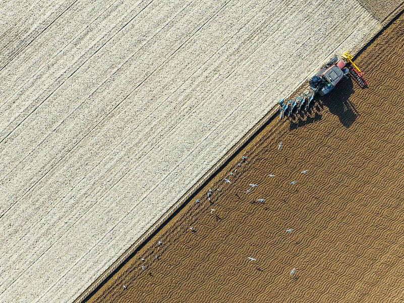Tractor ploughing the soil for planting crops  by Sjoerd van der Wal Photography