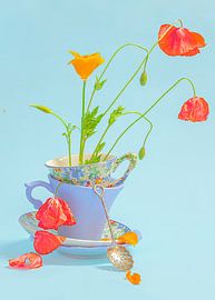 Stillleben Mohnblumen in geblümter Tasse von Willy Sengers