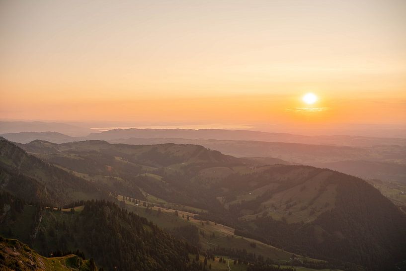 Flowery view from the Hochgrat to Lake Constance at sunset by Leo Schindzielorz