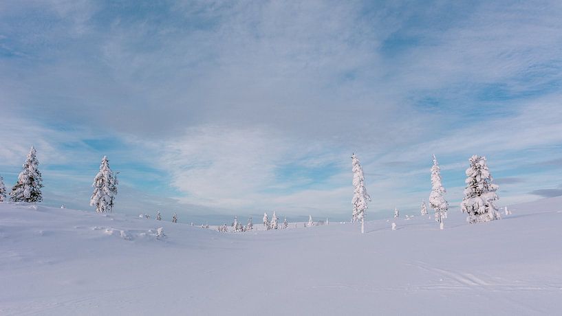 Paysage de neige en Laponie finlandaise | Cercle arctique, Finlande par Suzanne Spijkers