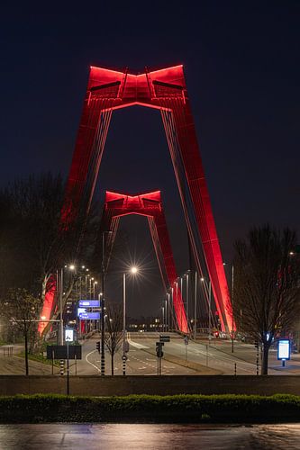 De Willemsbrug in Rotterdam in de nacht (verticaal)