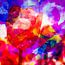 Vibrant Colors