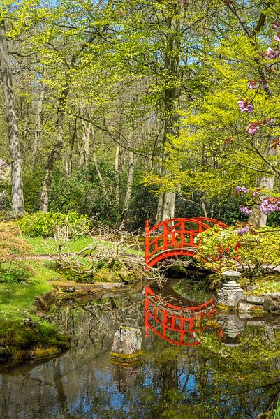 Japanischer Garten mit roter Brücke von Fred Leeflang