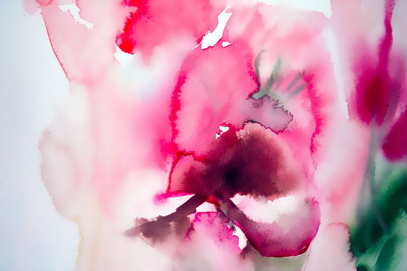 orchid van M.A. Ziehr