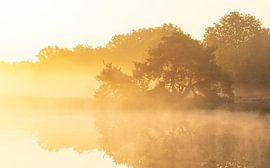 Sonnenaufgang Terhorsterzand (Niederlande) von Marcel Kerdijk